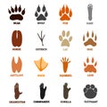 Footprints set of animal birds and mammals paw print vector